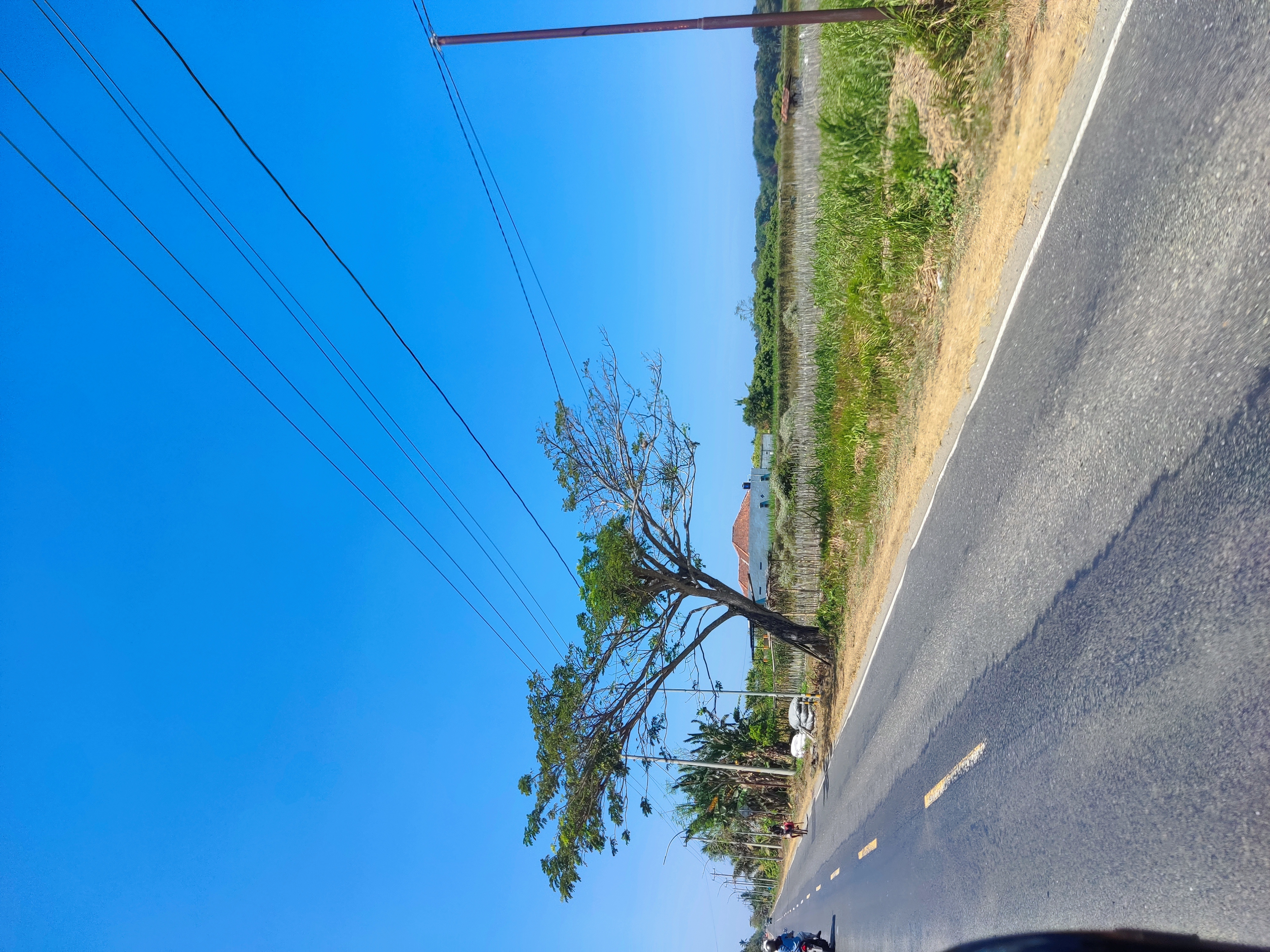 Foto Aduan