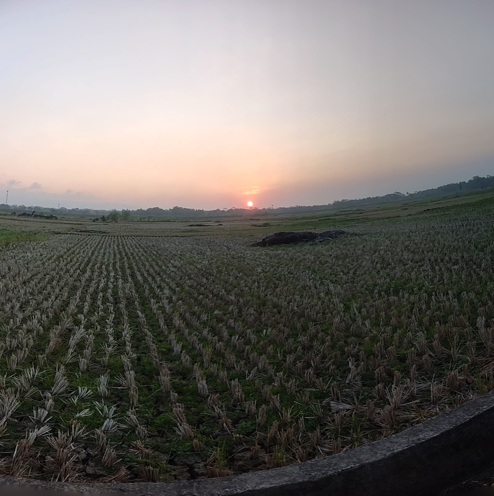 Foto Aduan